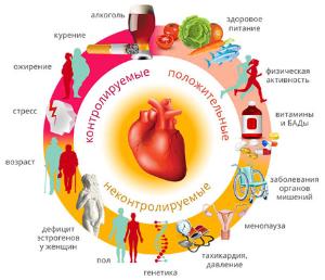 6 июля День кардиолога